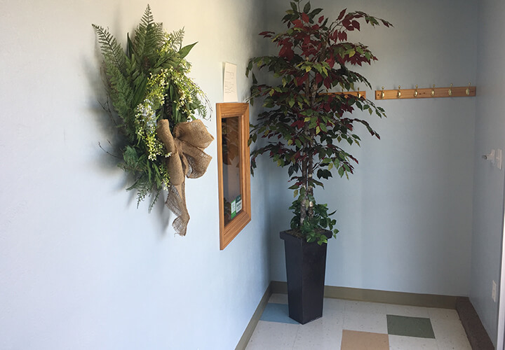 Adam Associates Family Dental foyer with potted plant